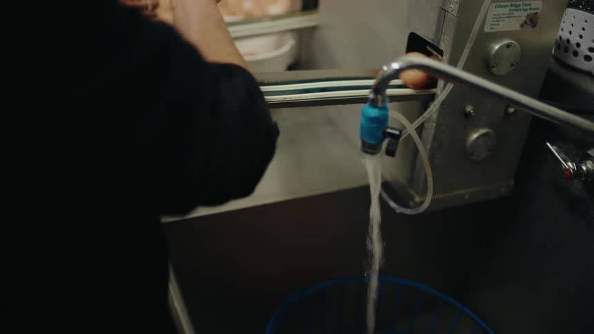 A person wearing blue gloves is washing eggs under a faucet in an industrial setting