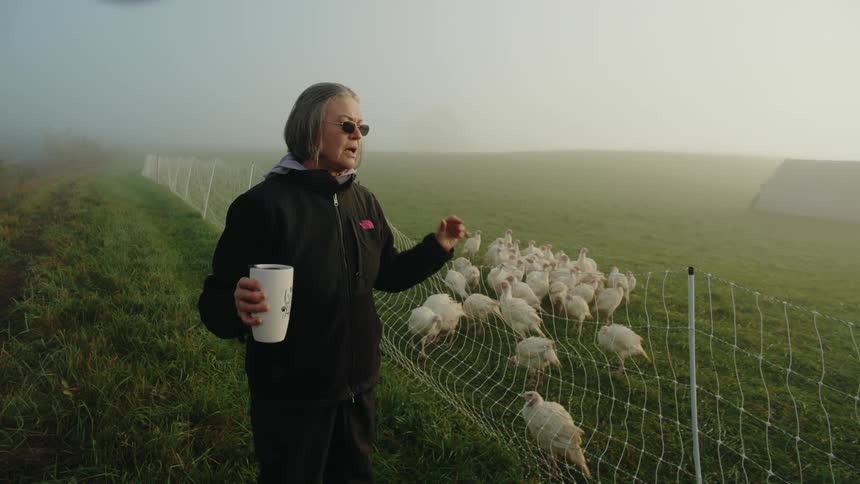A woman is standing next to a fenced in flock of turkeys
