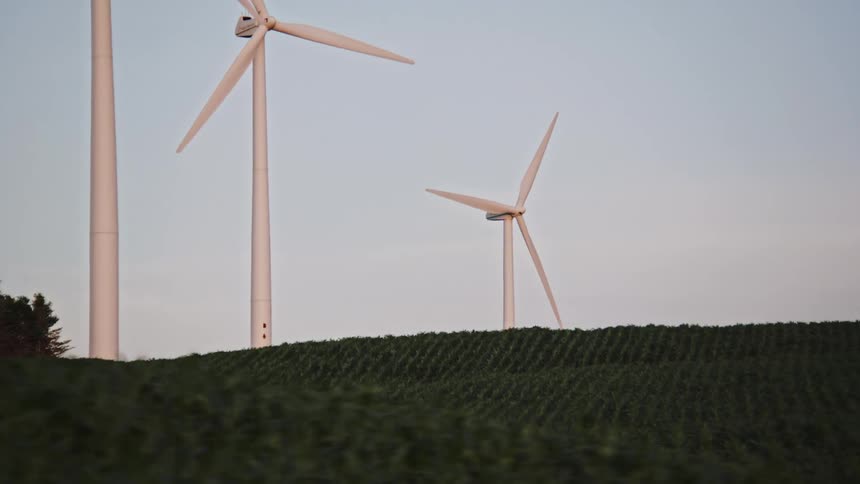 Wind turbines in a grass field at sunset
