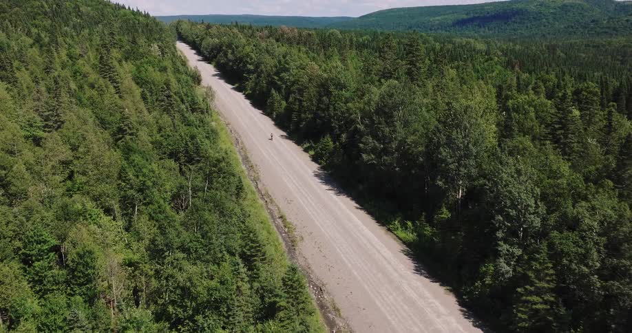Drone shot of a lone gravel cyclist riding along a straight gravel road flanked by lush green forests