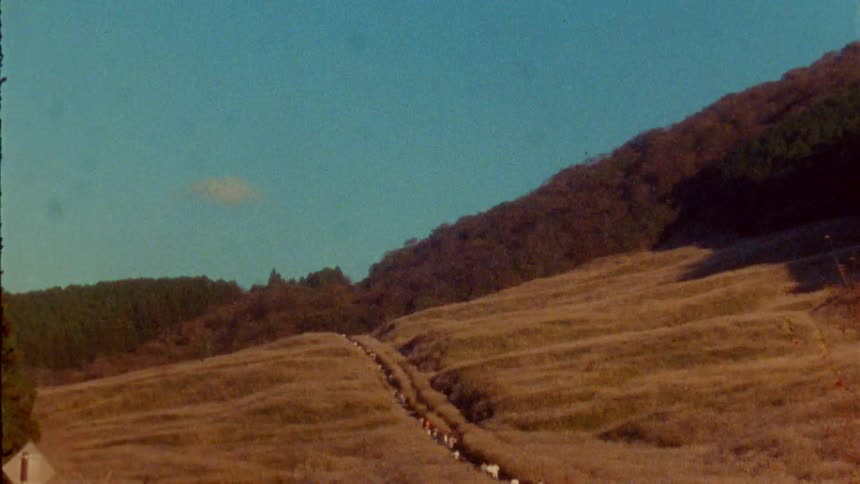 A large group of people makes their way on a path single file