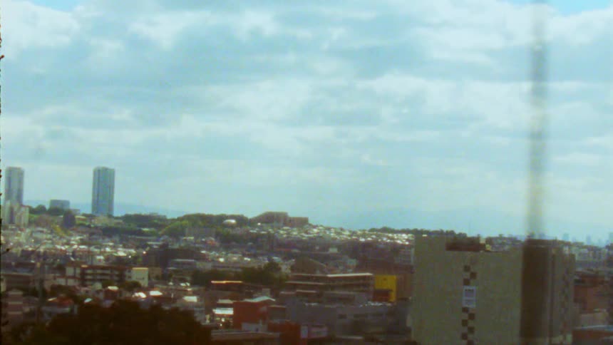 A view of the city appears while looking through the trees