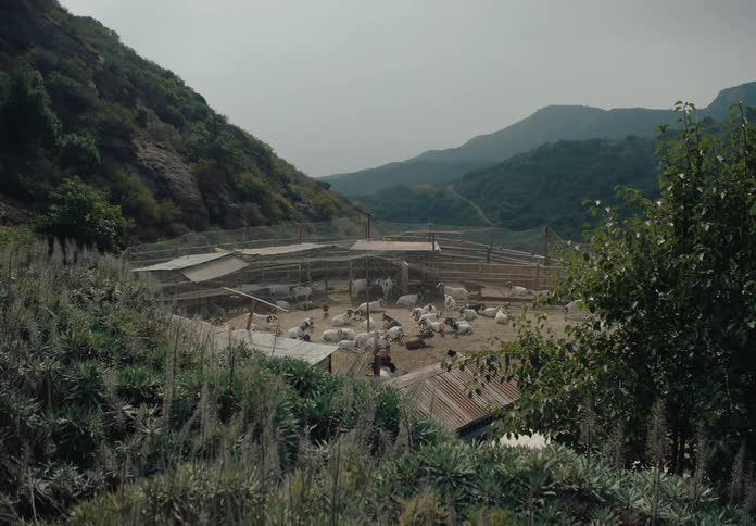 Enclosed area containing goats and sheep in a rural area surrounded by green hills and vegetation