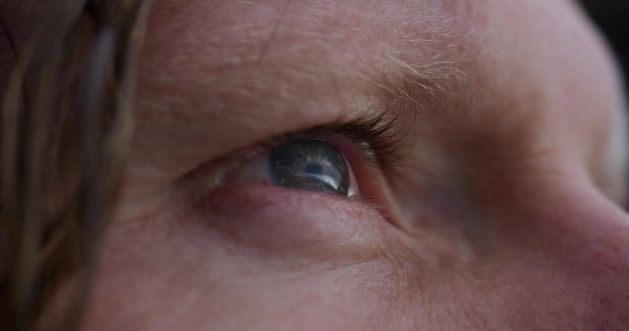 A closeup of a persons eye with long hair flowing in the wind
