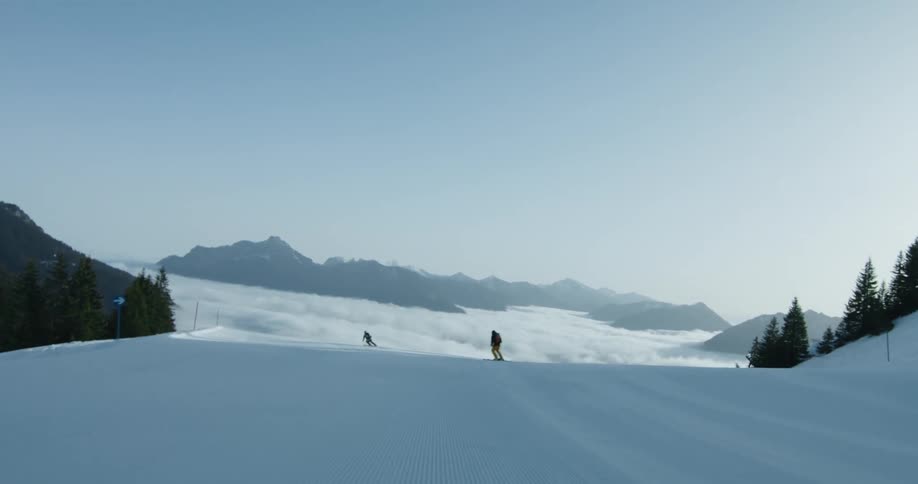 Two skiers are descending a snowy slope surrounded by pine trees and mountains under a clear sky