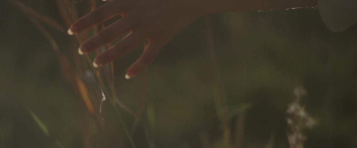 A woman in a white loose shirt and sun hat gently touches a stalk of grass in a naturally sunlit setting