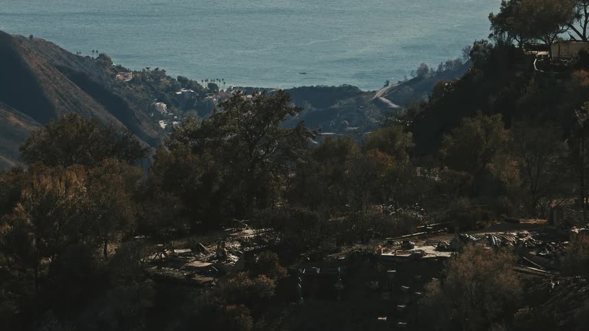 The aftermath of a fire in a hillside community overlooking the ocean with burned debris and trees visible amidst the landscape