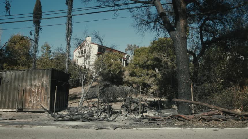 The area by the road is completely burned down