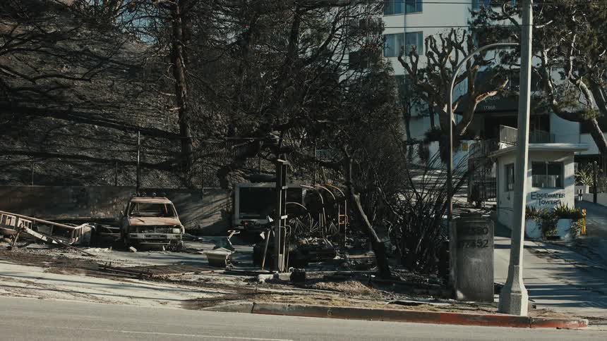 The car and trees are burned down on the corner