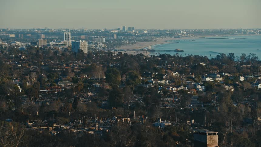 Aerial view of a residential neighborhood with scattered trees and a beach in the background
