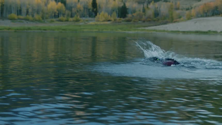 Man swimming in a lake alone during the day
