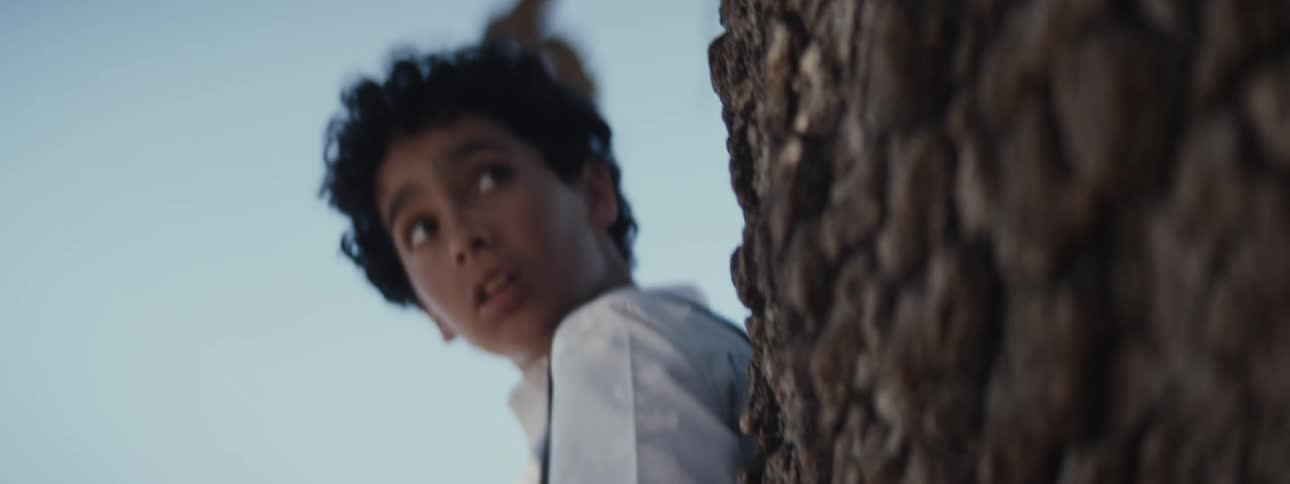 Boy hiding in a tree runs away
