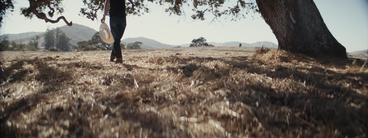 A person stands under the tree before a mountain