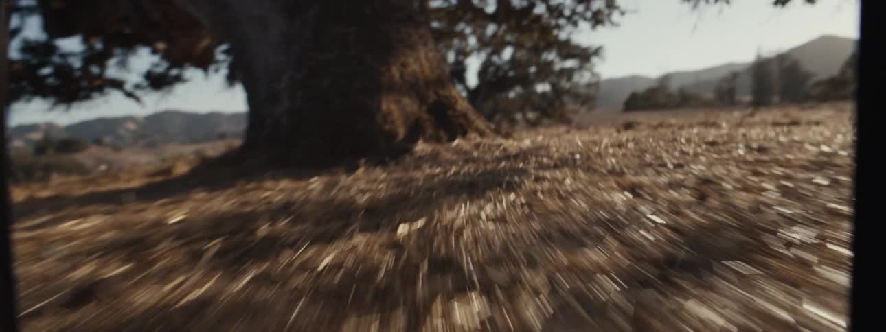 Viewpoint towards a tree in a dry field