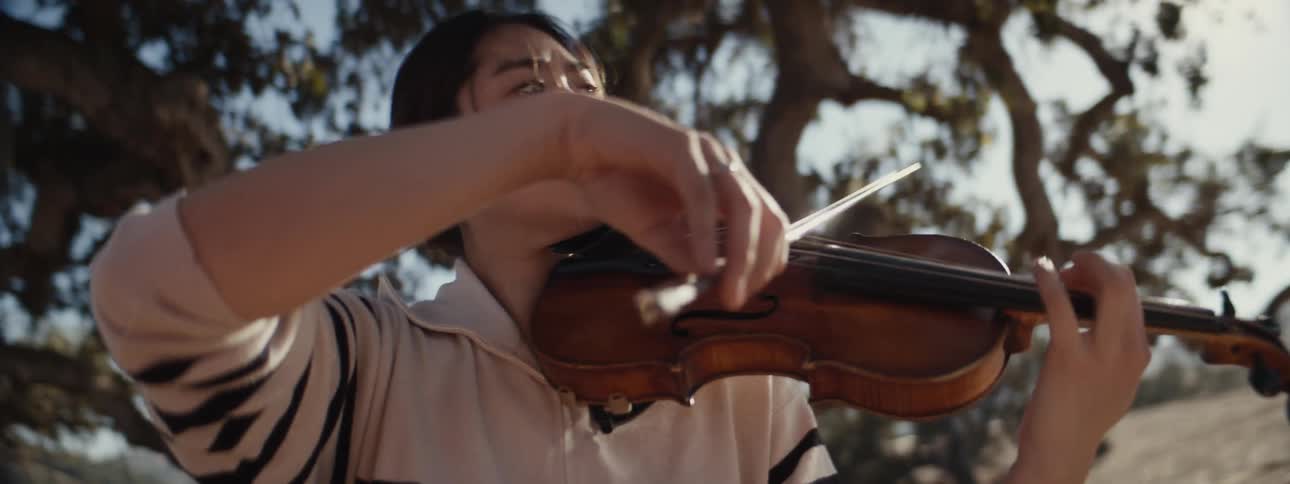 Musician plays the violin while standing outdoors near a large tree on a sunny day