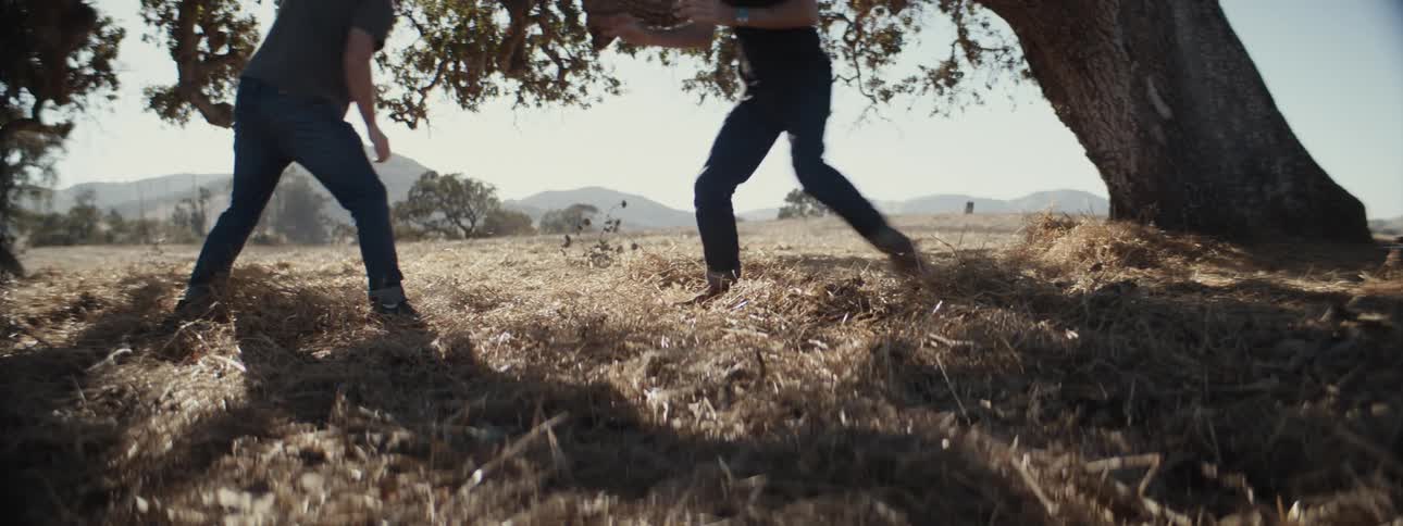 Two people play fighting in a field next to a tree