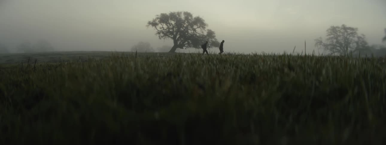 Silhouettes of two people walking in a mistcovered grassy field in the morning