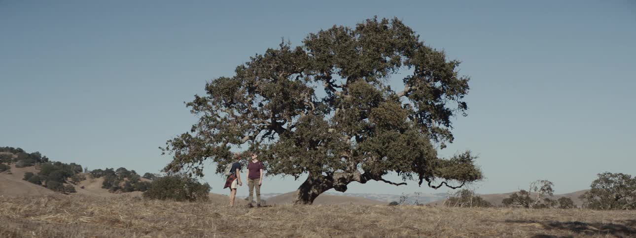 Two people walk in a natural field with a tree in the background
