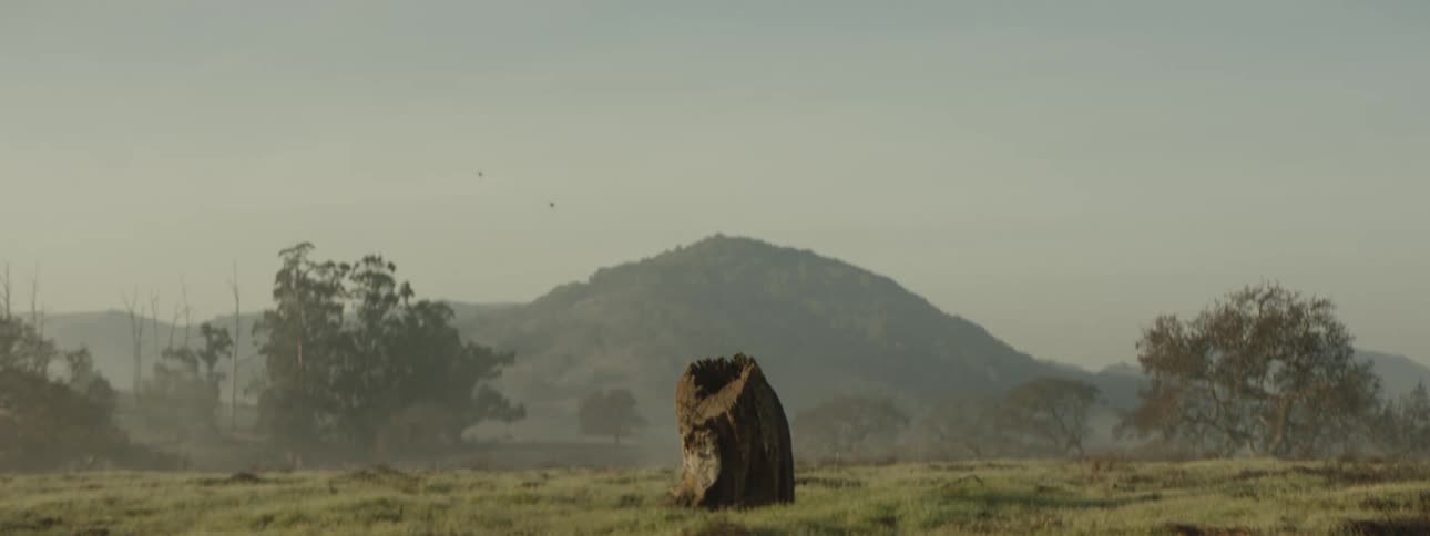 Rock in the middle of a field with mountains and trees in the background