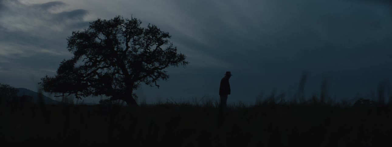Silhouette of a person walking through a field at dusk on a cloudy day