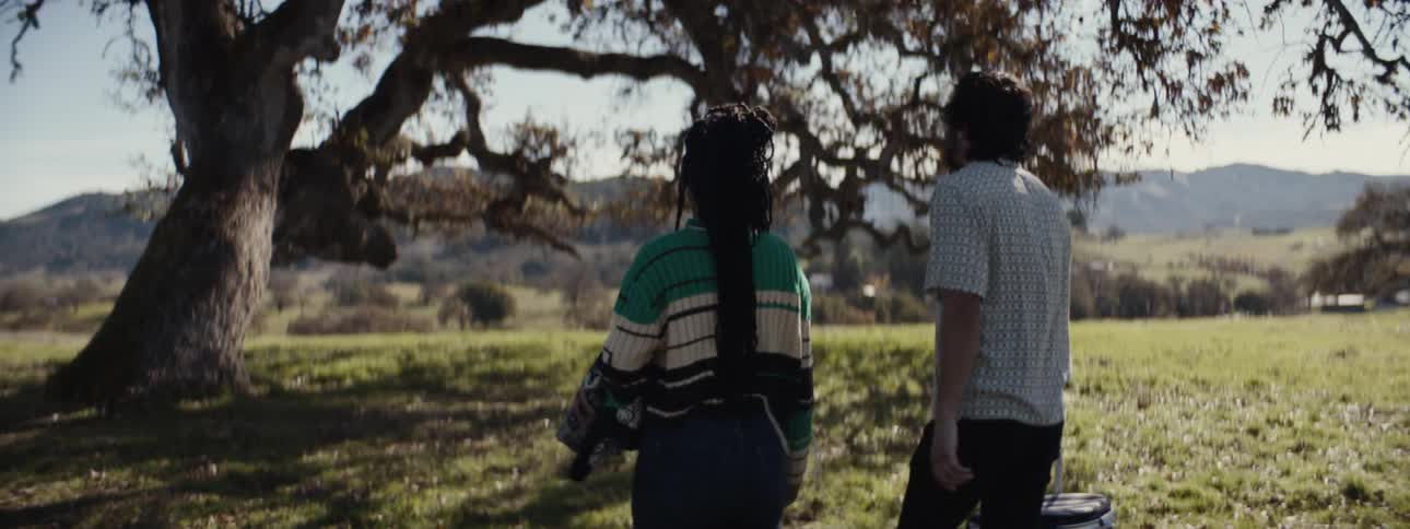 Two people walking outdoors towards a tree