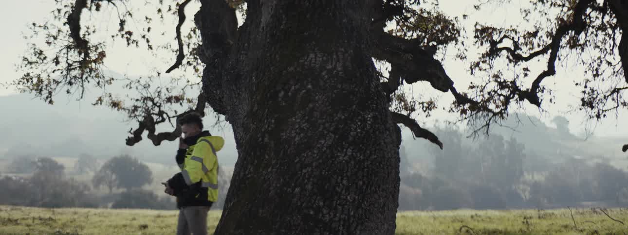 Man talking on cell phone and wearing a reflective vest walks in a natural area with a tree