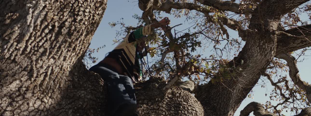 A footage of a lady sitting on a tree