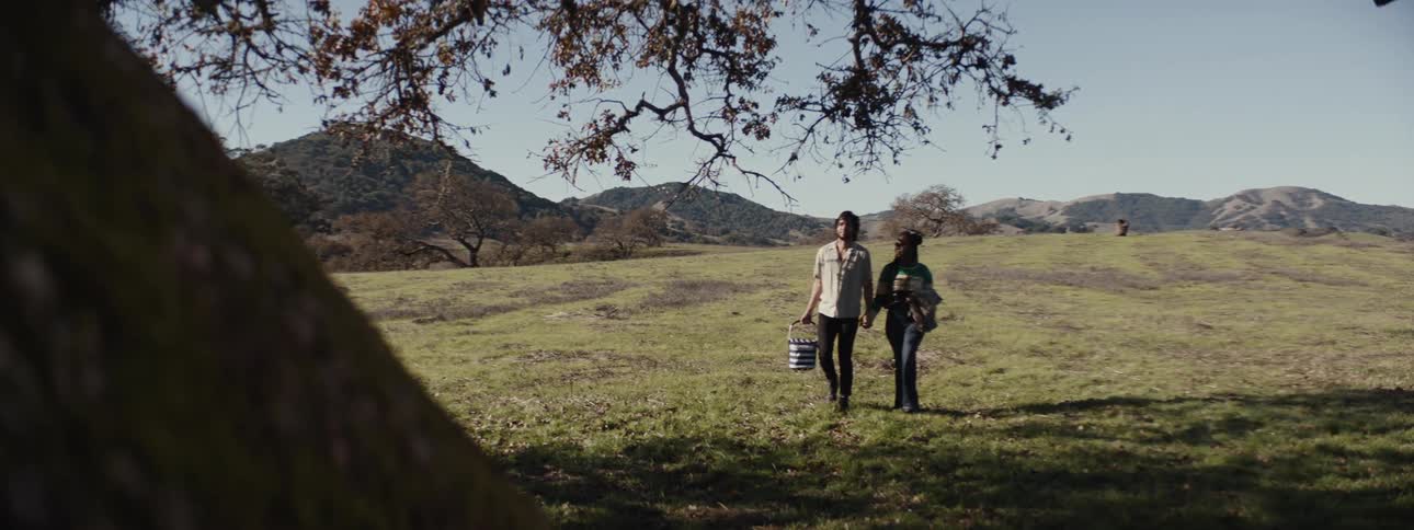Couple walking in a field holding hands