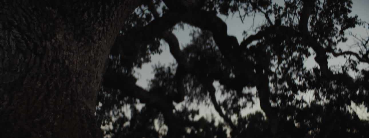 A man is leaning back against a tree in low light with his head tilted upward and an expression of reflection next to a parked vehicle