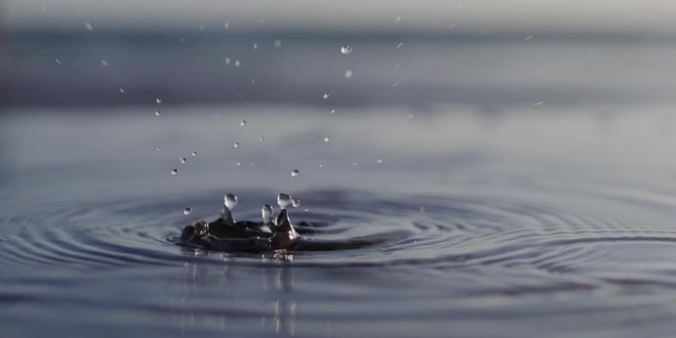Drops falling into calm waters and generating impact