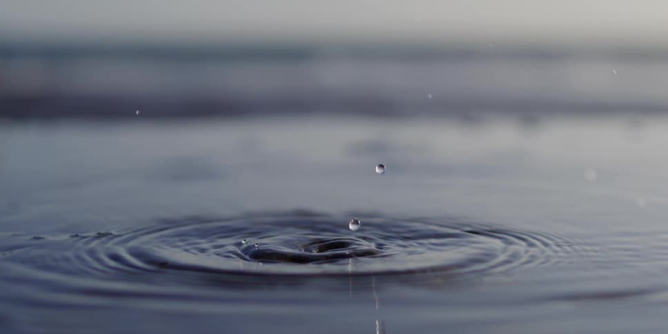 Drop falling into calm water and generating impact