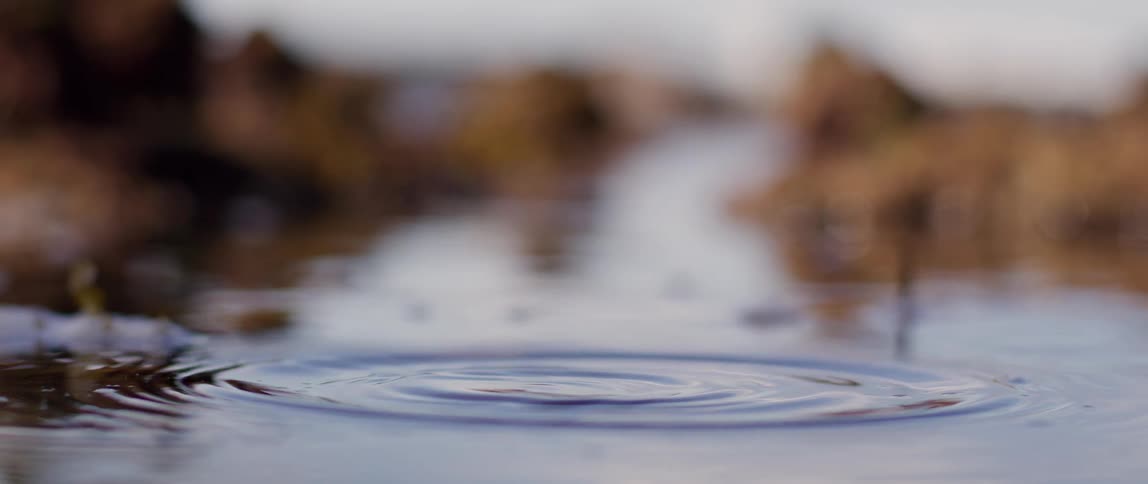 Drop falling into a calm lake generating an impact