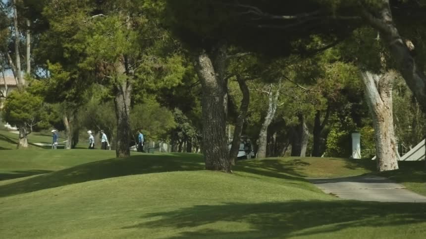 Men walking between trees on a golf course