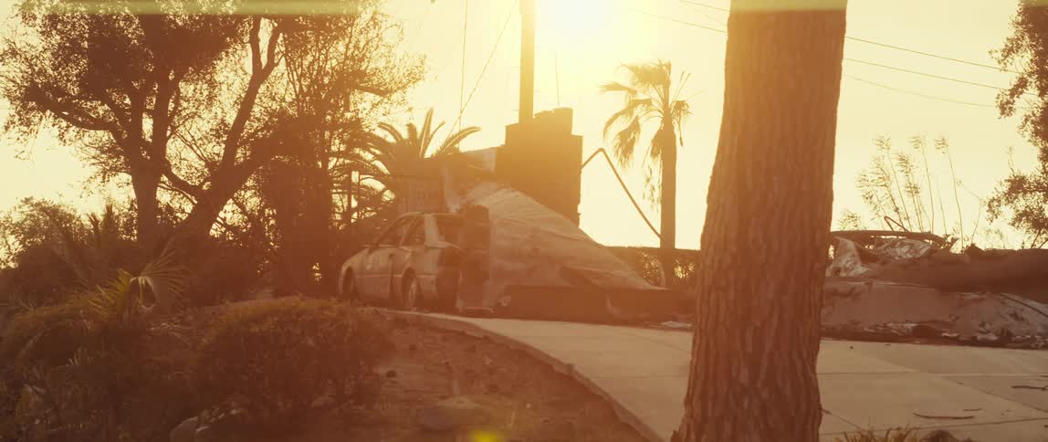 Cars destroyed and burned in an urban area