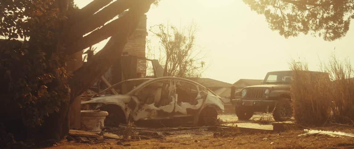 Car under a destroyed tree