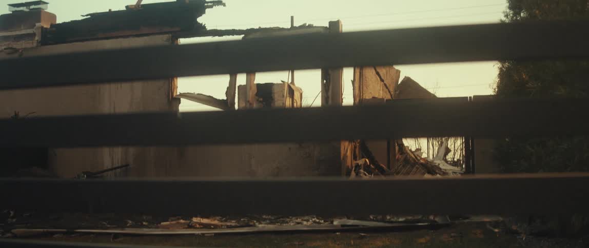 House destroyed and with trees around it