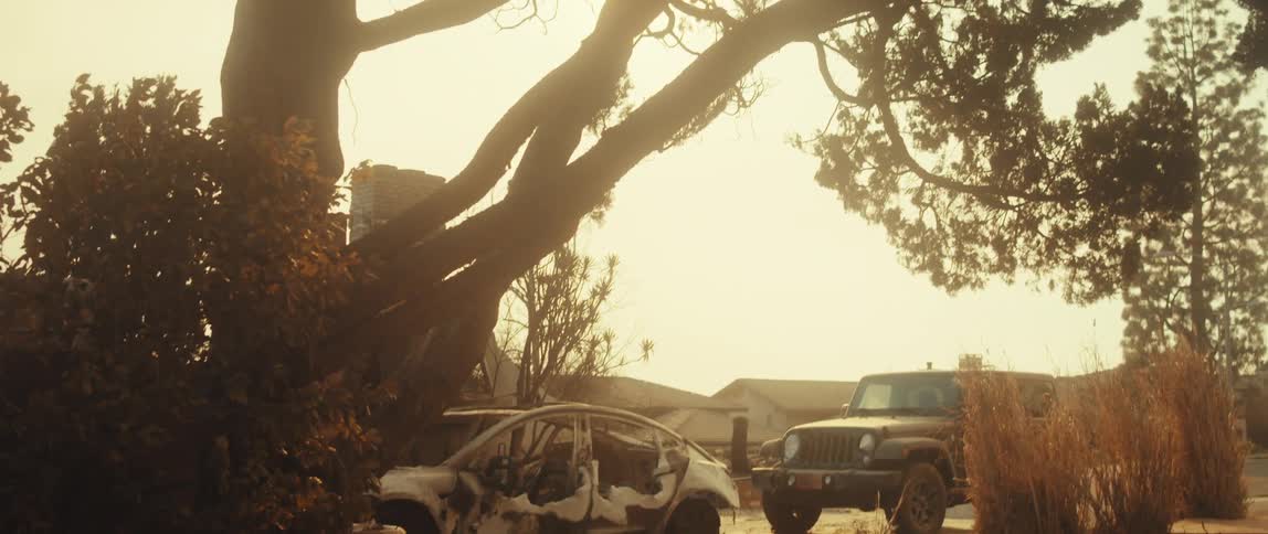 A car is burned down by the tree