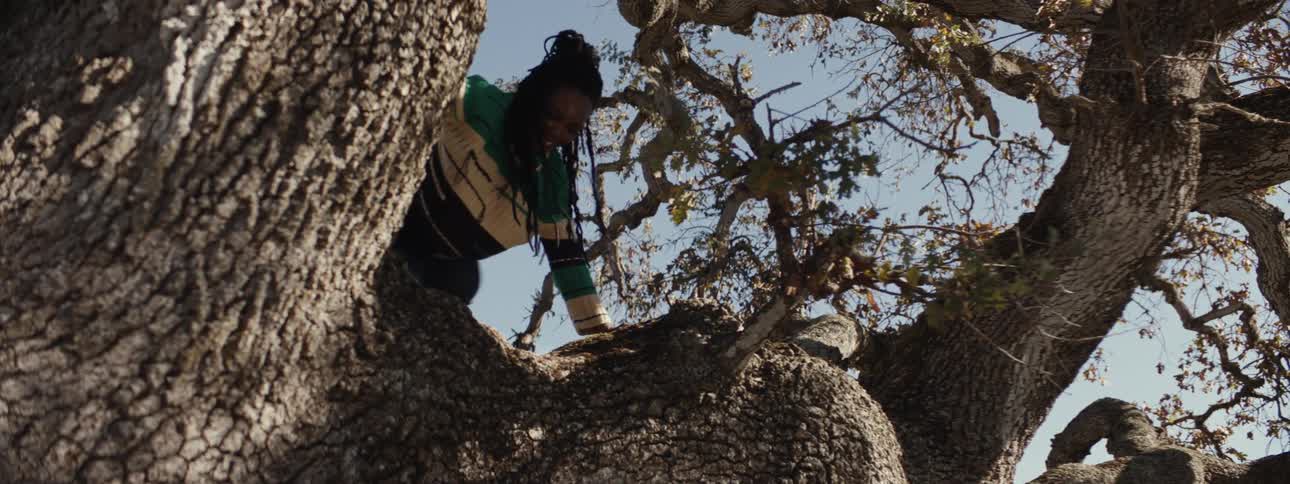 A smiling woman is climbing a tree and sitting on its trunk
