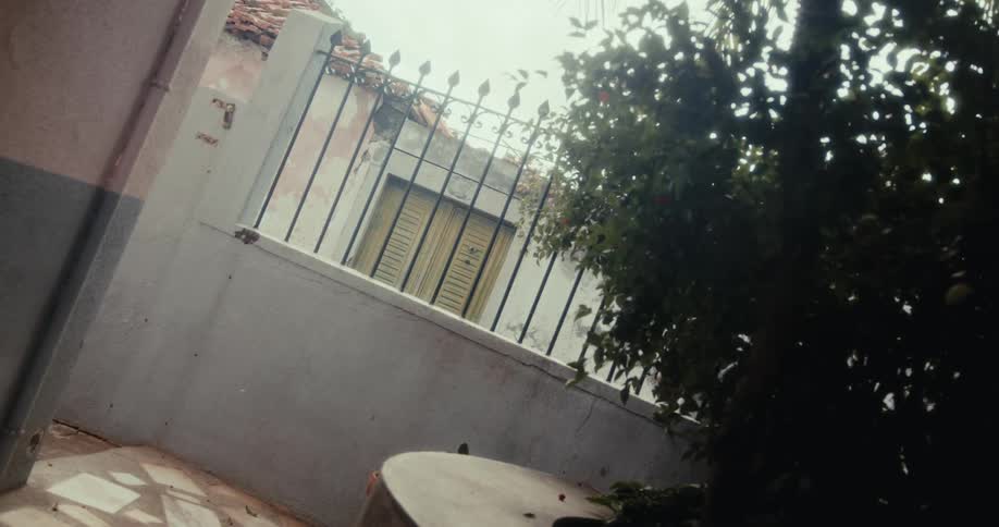A clip of a person walking outside the fence