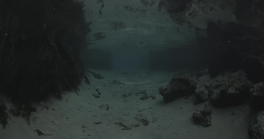 Sand and rocks line the shore bed underwater