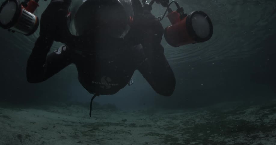 A scuba diver swims in the water