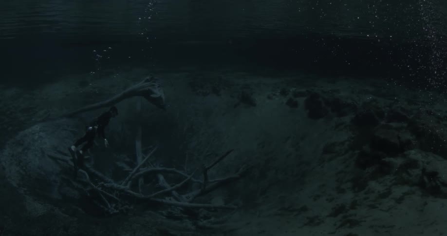 A diver swims above branches and debris on the ocean floor