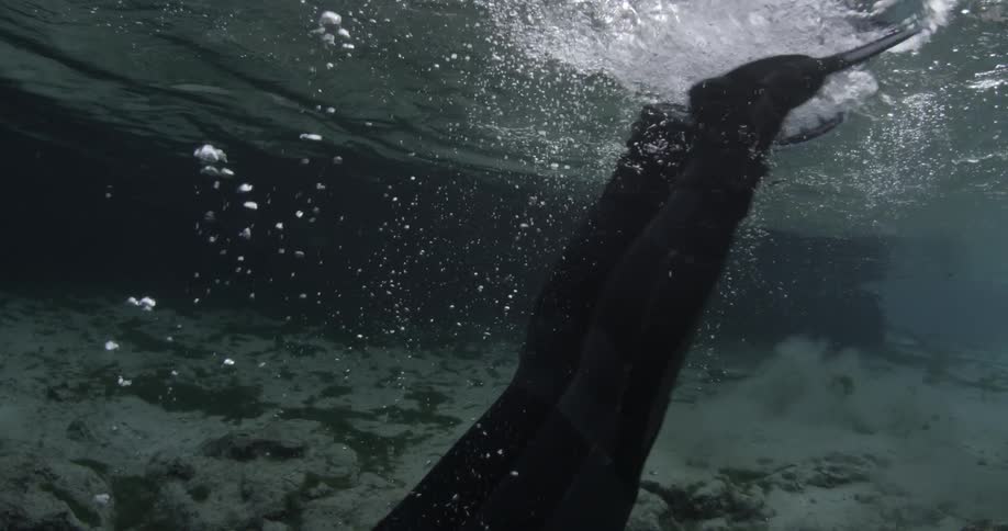 Person dives underwater with a camera