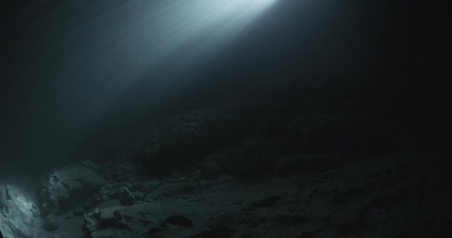 Light filters through the dark water
