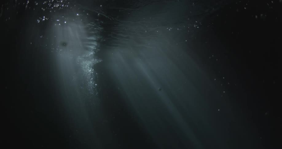 A lot of bubbles are rising up from the bottom of the ocean