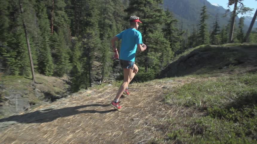 A man jogging in a mountain forest