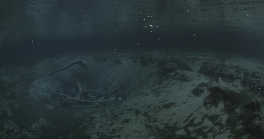 Air bubbles rise to the surface from the ocean floor