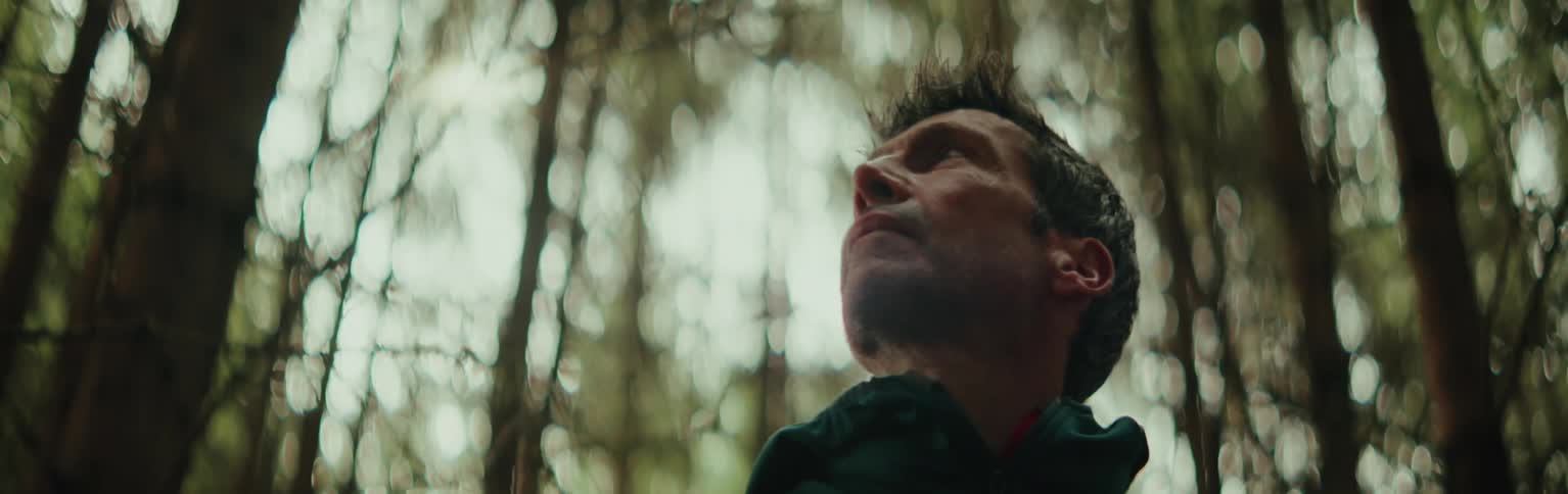 Overhead view of a man looking into a forest