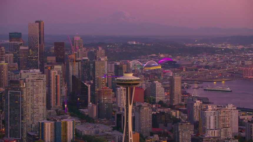 Aerial panorama of modern towers and skyscrapers of a seaside metropolis against a purple sky