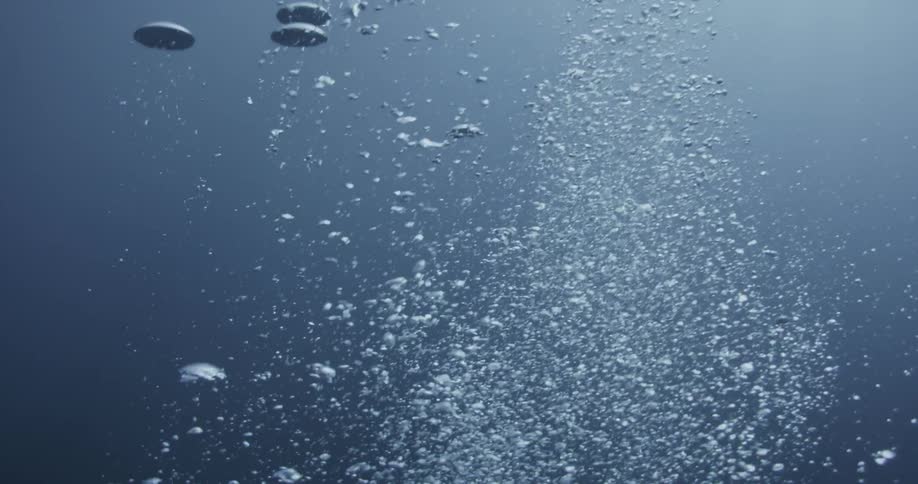 Bubbles rise to the surface